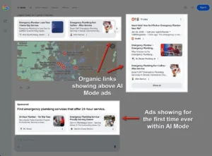 Google Ads Found in AI Overviews